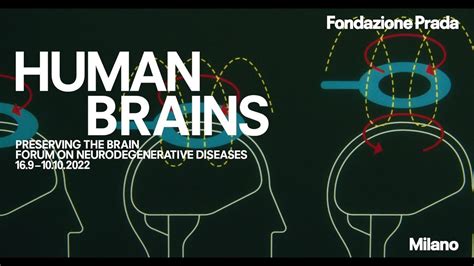 PRESERVING THE BRAIN – Fondazione Prada